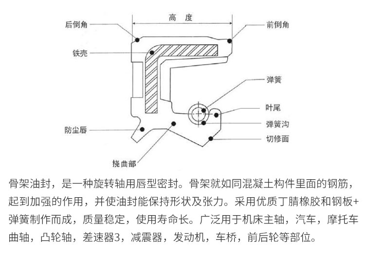 進口骨架油封